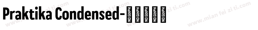 Praktika Condensed字体转换
